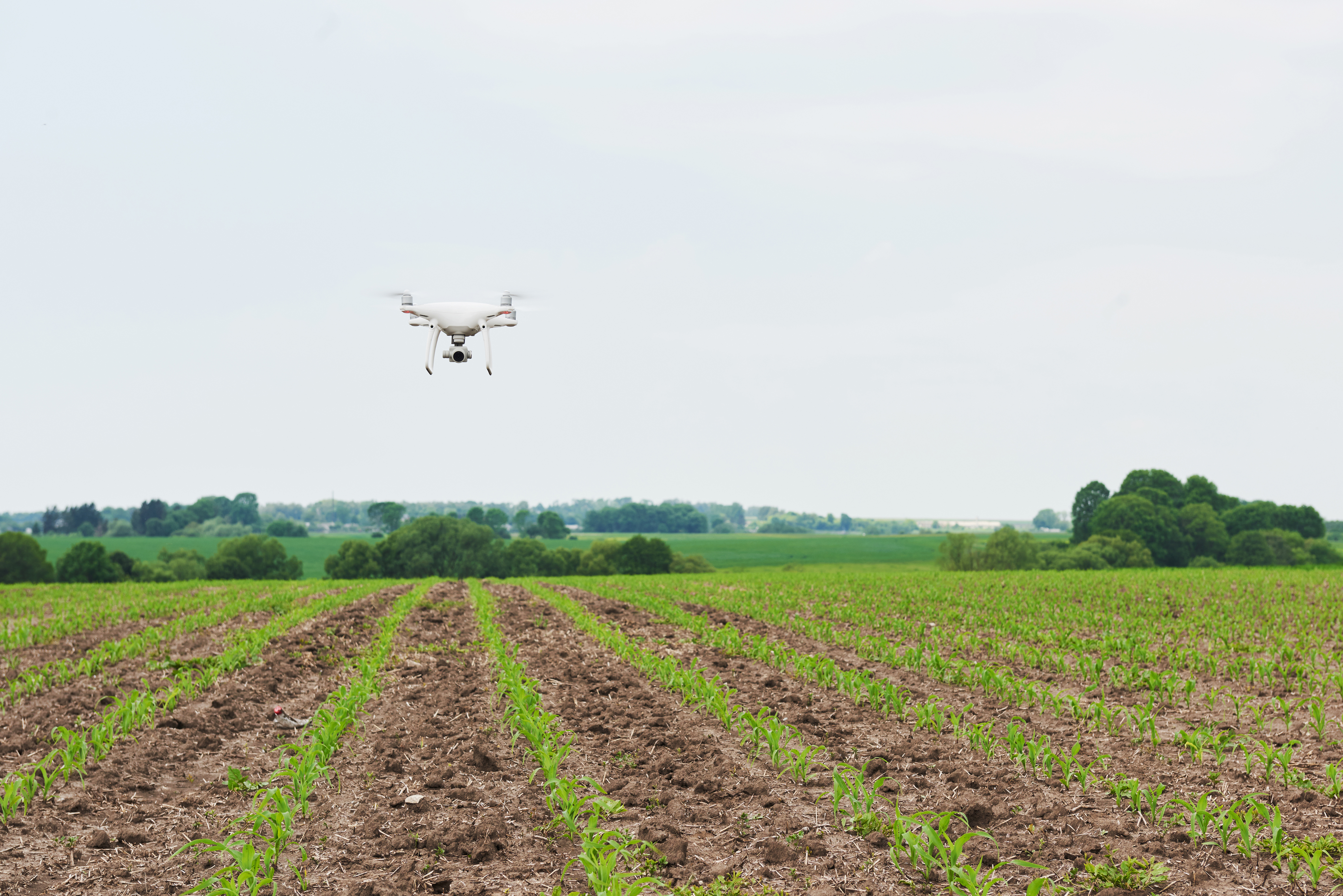 Drone technology supporting precision agriculture