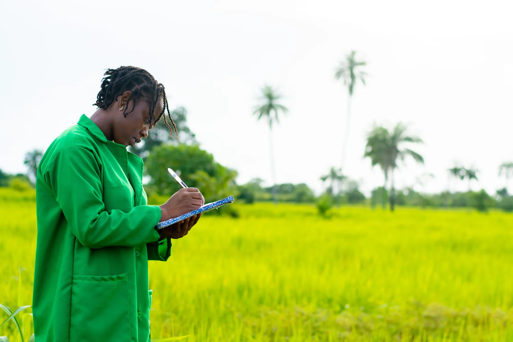 Agriculture field data collection for food security